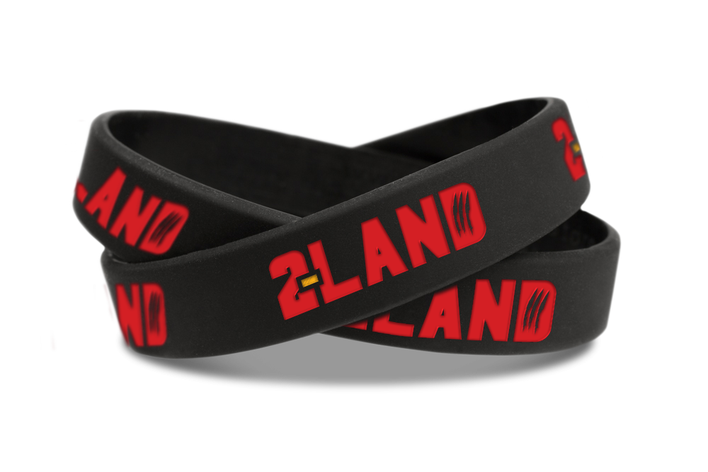 Accessories – 2LandComics